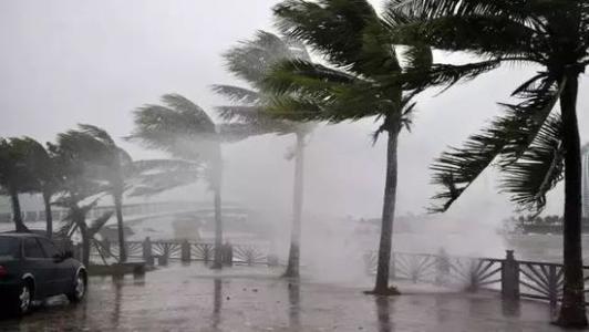 8月臺風雨即將來，除濕機還得用起來
