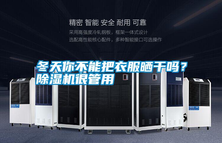 冬天你不能把衣服曬干嗎？除濕機很管用