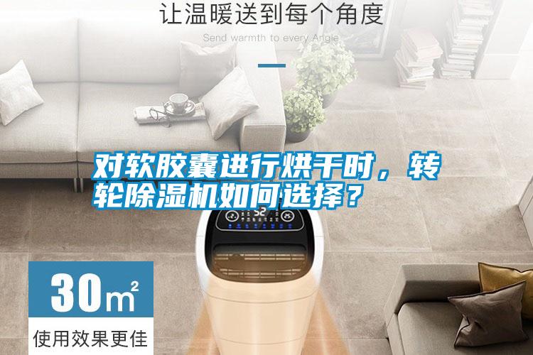 對軟膠囊進行烘干時，轉輪除濕機如何選擇？