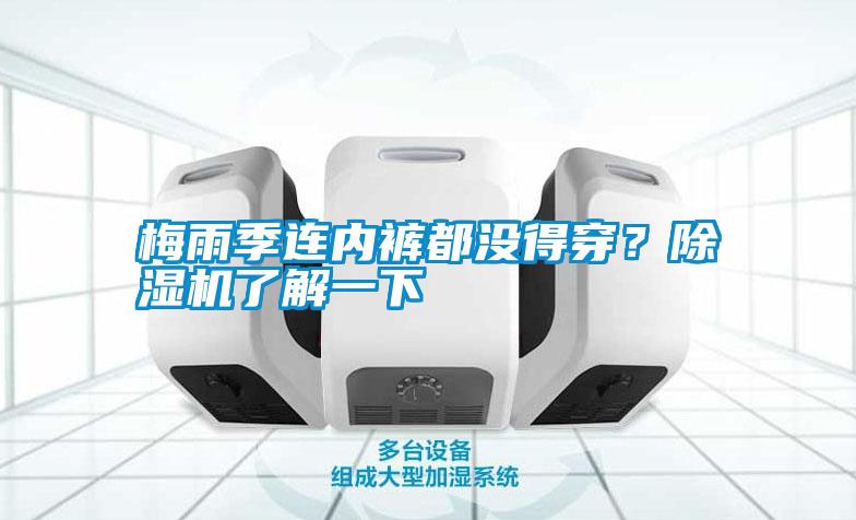 梅雨季連內褲都沒得穿？除濕機了解一下