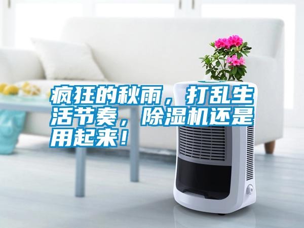 瘋狂的秋雨，打亂生活節奏，除濕機還是用起來！