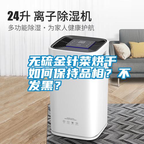無硫金針菜烘干如何保持品相？不發(fā)黑？