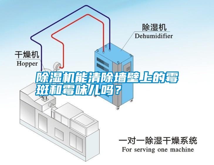 除濕機(jī)能清除墻壁上的霉斑和霉味兒嗎？