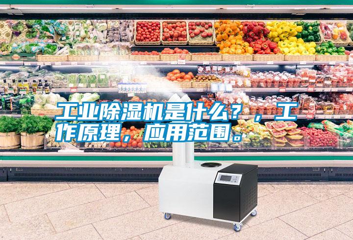 工業除濕機是什么？，工作原理，應用范圍。
