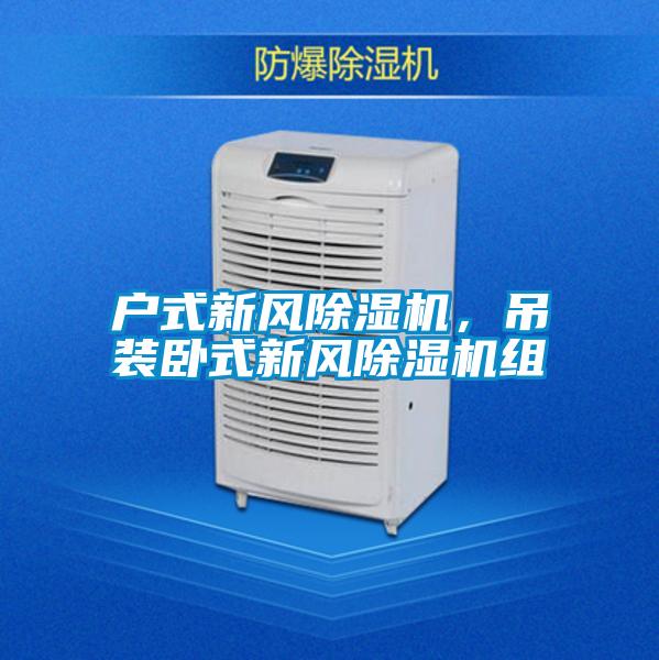 戶式新風除濕機，吊裝臥式新風除濕機組