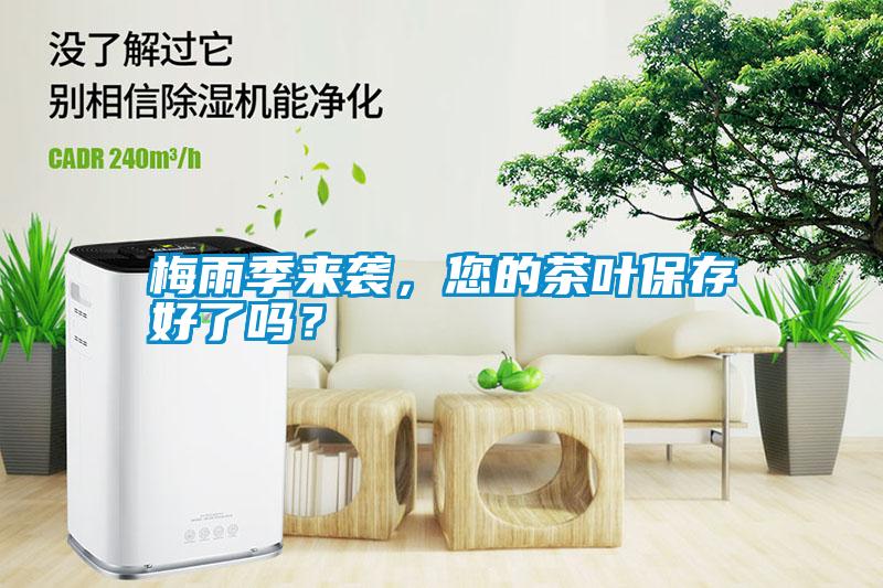 梅雨季來襲，您的茶葉保存好了嗎？