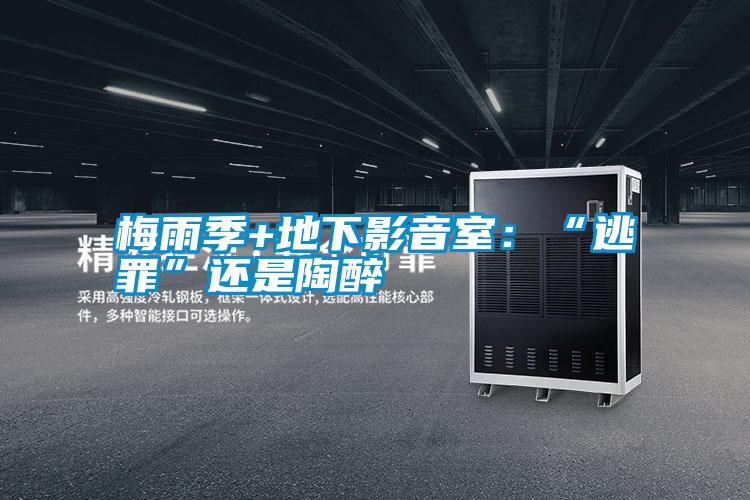 梅雨季+地下影音室:“逃罪”還是陶醉