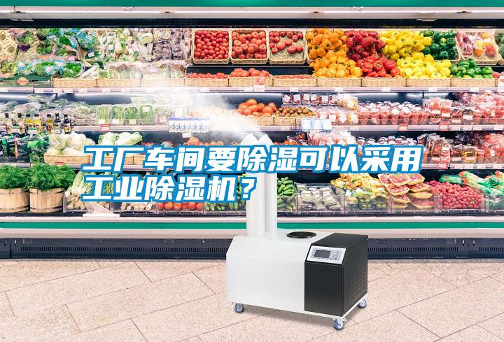 工廠車間要除濕可以采用工業除濕機？