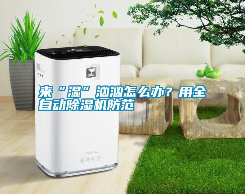 來(lái)“濕”洶洶怎么辦？用全自動(dòng)除濕機(jī)防范