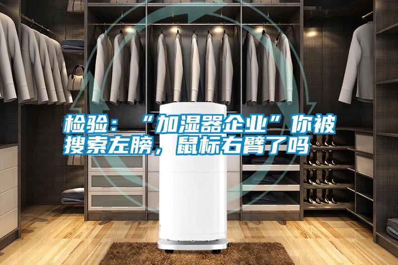 檢驗:“加濕器企業”你被搜索左膀,鼠標右臂了嗎