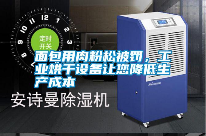 面包用肉粉松被罰，工業(yè)烘干設備讓您降低生產(chǎn)成本