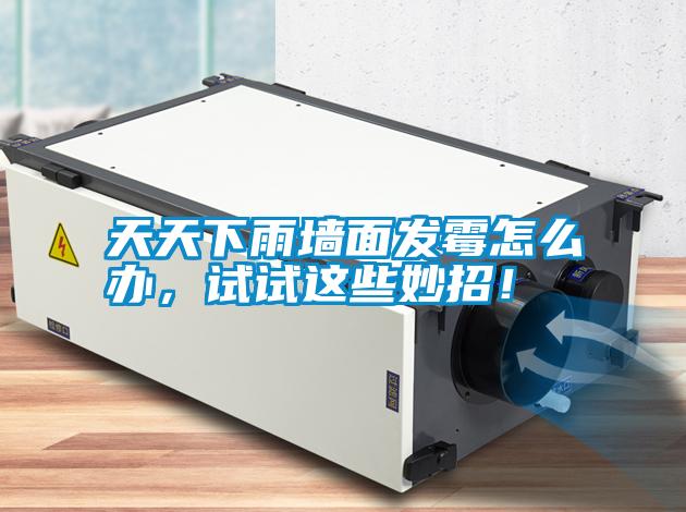 天天下雨墻面發(fā)霉怎么辦，試試這些妙招！