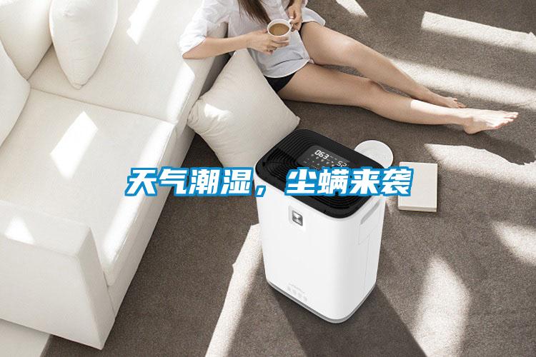 天氣潮濕，塵螨來(lái)襲