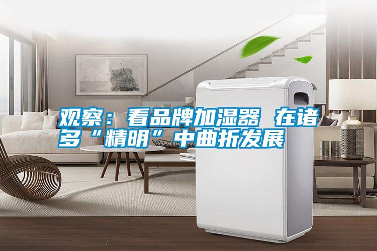 觀察:看品牌加濕器 在諸多“精明”中曲折發(fā)展