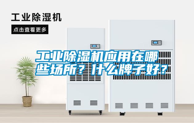 工業(yè)除濕機(jī)應(yīng)用在哪些場所？什么牌子好？