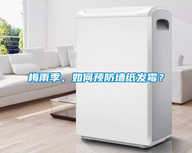 梅雨季，如何預防墻紙發(fā)霉？