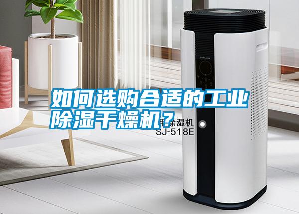 如何選購合適的工業除濕干燥機？