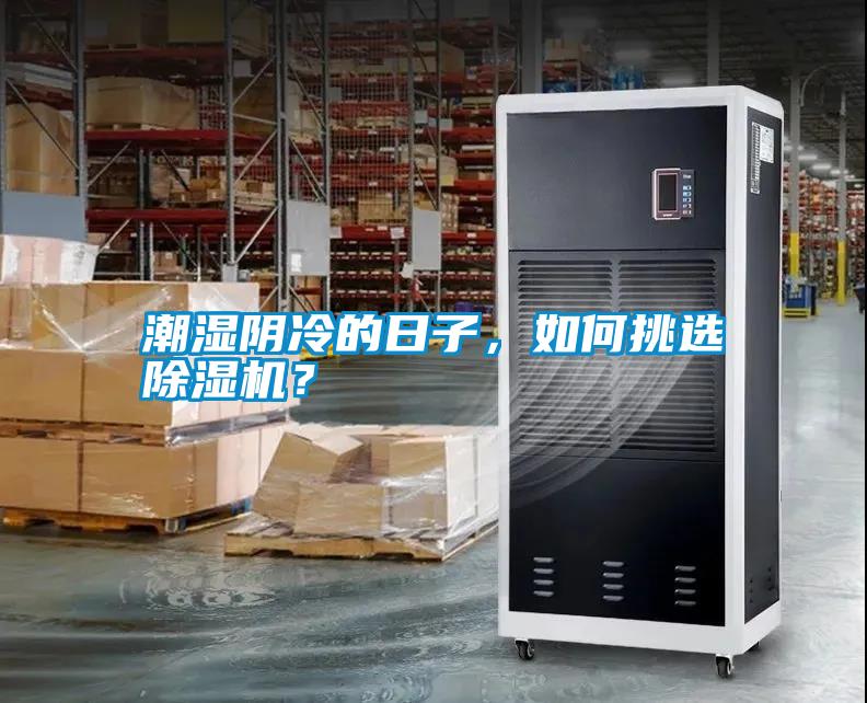 潮濕陰冷的日子，如何挑選除濕機？