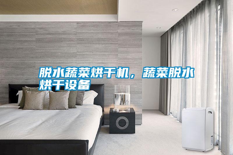 脫水蔬菜烘干機(jī),蔬菜脫水烘干設(shè)備