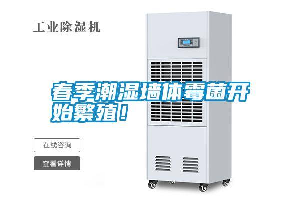 春季潮濕墻體霉菌開(kāi)始繁殖！