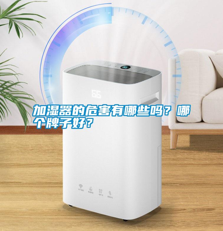 加濕器的危害有哪些嗎？哪個牌子好？