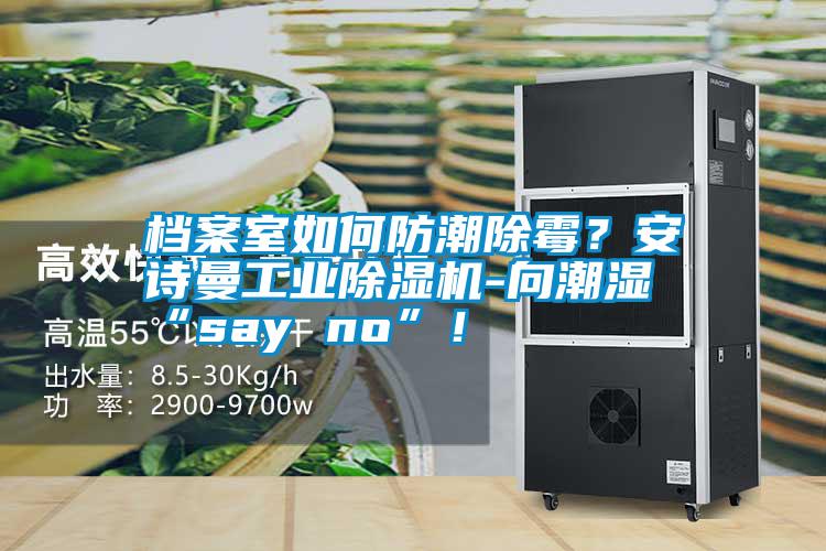 檔案室如何防潮除霉？安詩曼工業除濕機-向潮濕“say no”！