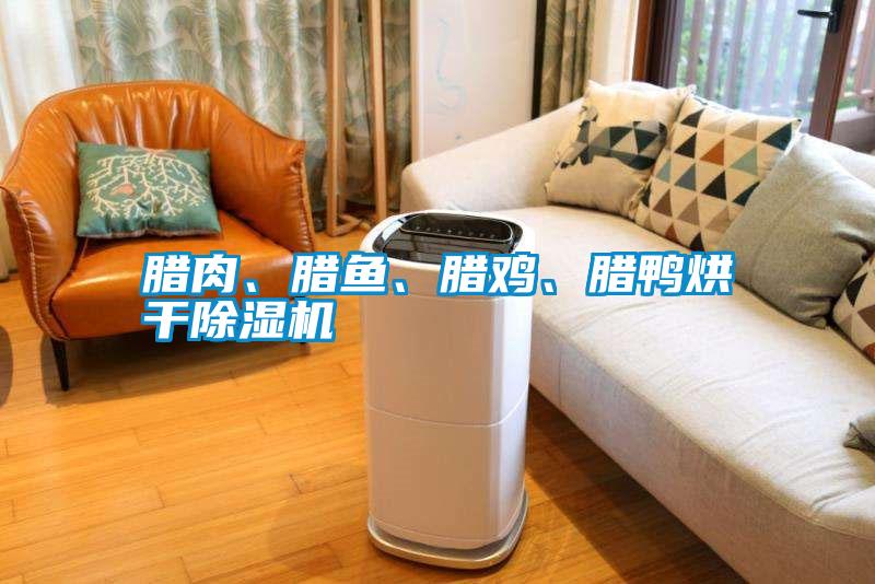 臘肉、臘魚(yú)、臘雞、臘鴨烘干除濕機(jī)