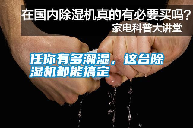 任你有多潮濕，這臺除濕機都能搞定