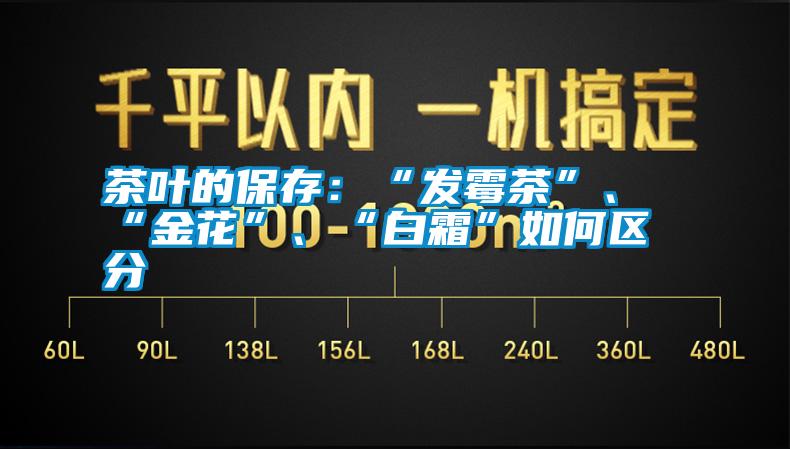 茶葉的保存：“發(fā)霉茶”、“金花”、“白霜”如何區(qū)分