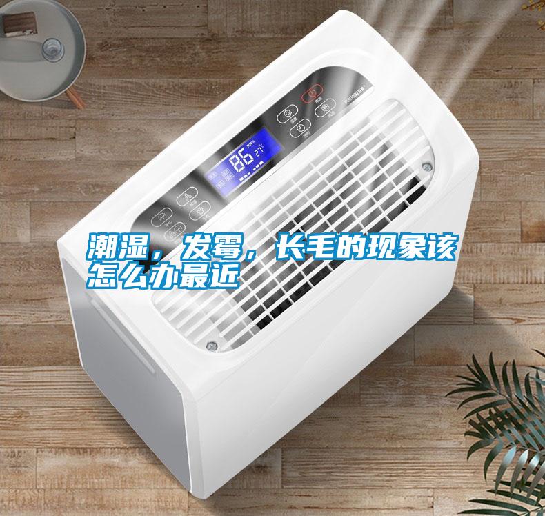 潮濕，發(fā)霉，長(zhǎng)毛的現(xiàn)象該怎么辦最近