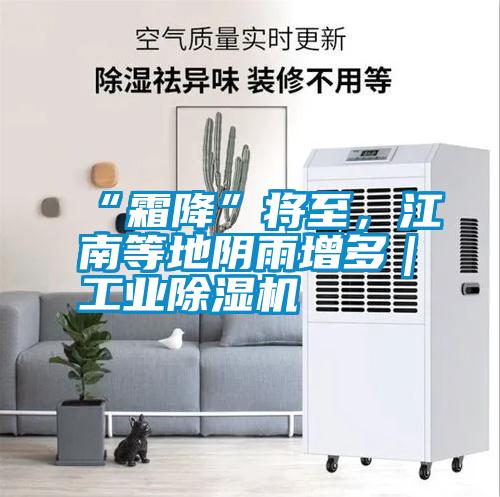 “霜降”將至，江南等地陰雨增多｜工業(yè)除濕機