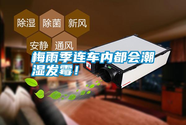 梅雨季連車內都會潮濕發(fā)霉！
