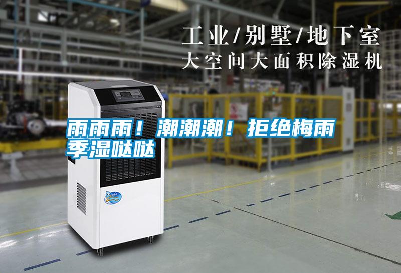 雨雨雨！潮潮潮！拒絕梅雨季濕噠噠