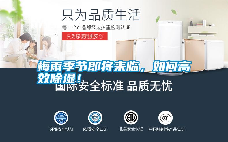 梅雨季節即將來臨，如何高效除濕！
