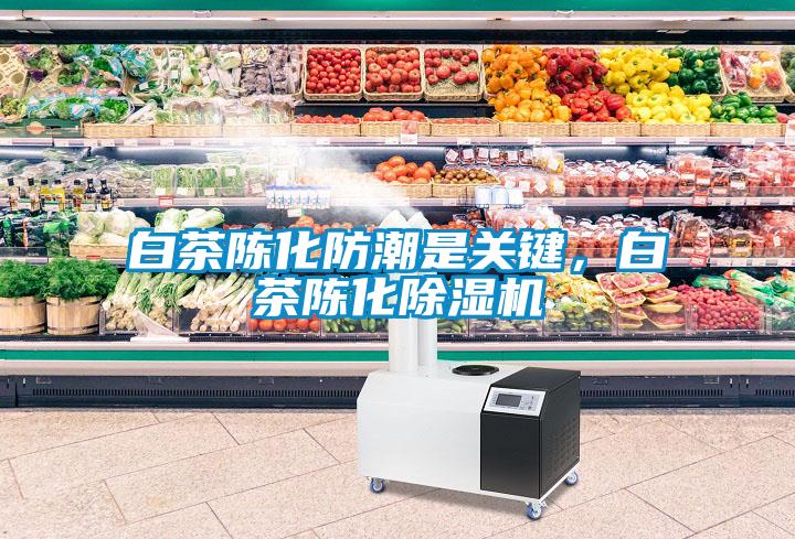 白茶陳化防潮是關(guān)鍵，白茶陳化除濕機