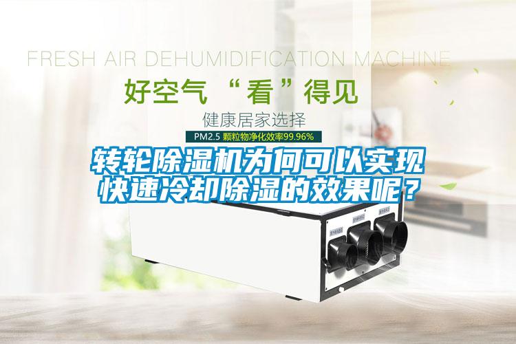 轉輪除濕機為何可以實現快速冷卻除濕的效果呢？