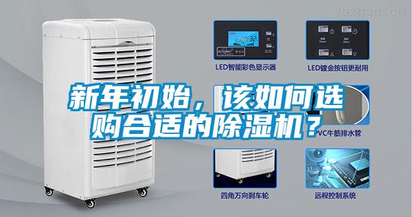 新年初始，該如何選購合適的除濕機(jī)？