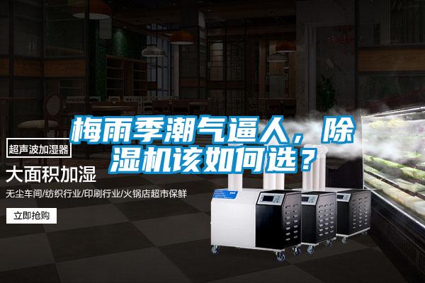 梅雨季潮氣逼人,除濕機(jī)該如何選?