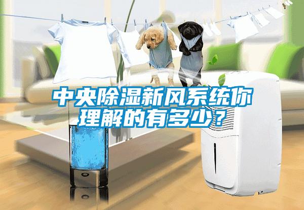 中央除濕新風系統(tǒng)你理解的有多少？