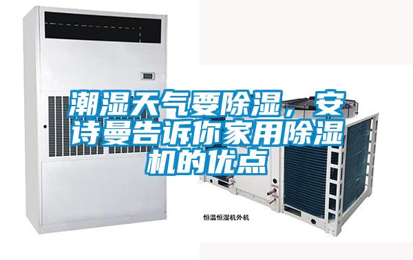 潮濕天氣要除濕，安詩曼告訴你家用除濕機的優點