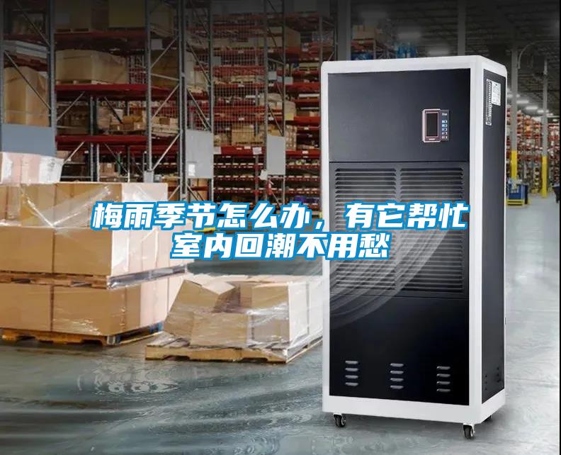 梅雨季節怎么辦，有它幫忙室內回潮不用愁