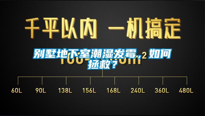 別墅地下室潮濕發(fā)霉，如何拯救？