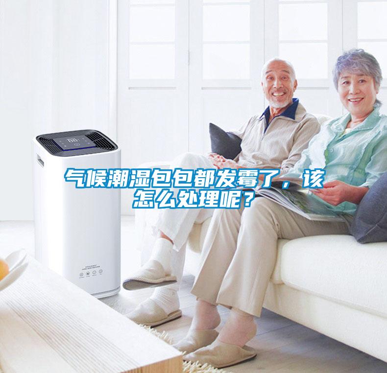 氣候潮濕包包都發霉了，該怎么處理呢？