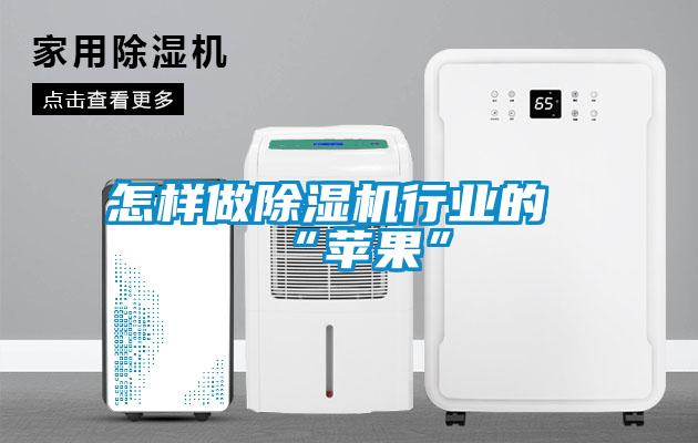 怎樣做除濕機行業的“蘋果”