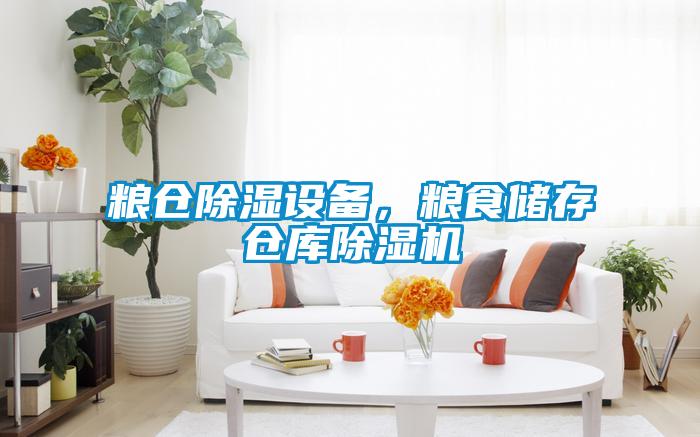 糧倉除濕設(shè)備，糧食儲(chǔ)存?zhèn)}庫除濕機(jī)