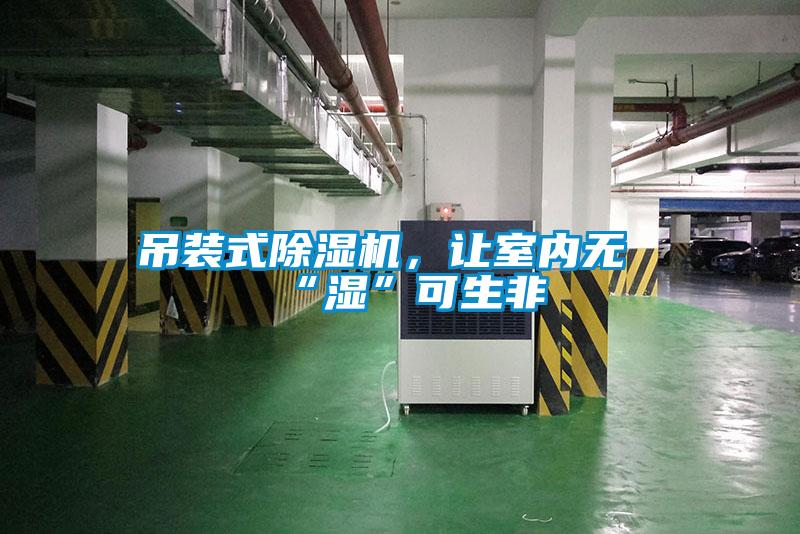吊裝式除濕機，讓室內無“濕”可生非