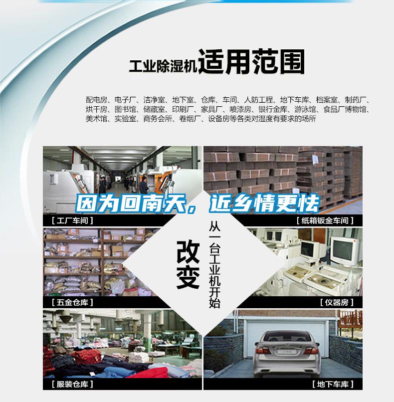 因為回南天，近鄉情更怯
