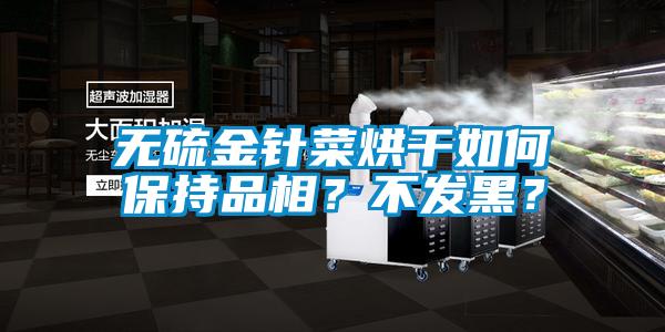 無硫金針菜烘干如何保持品相？不發(fā)黑？