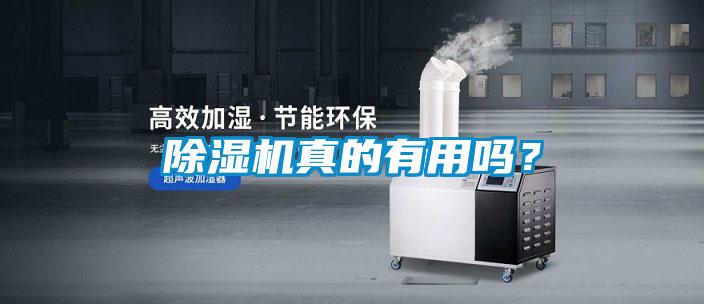 除濕機真的有用嗎?