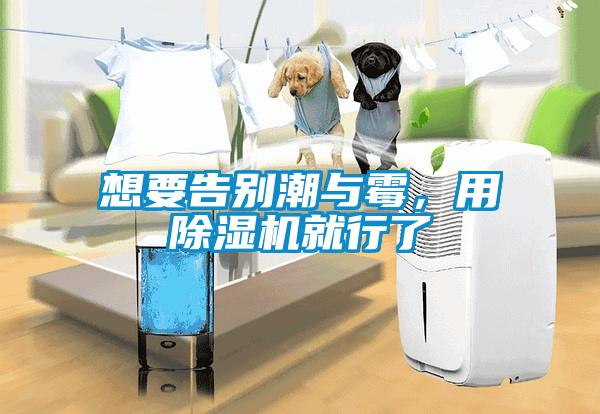 想要告別潮與霉，用除濕機就行了